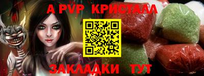 спиды Аргун