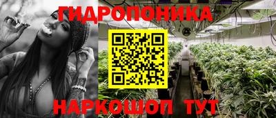 спиды Аргун