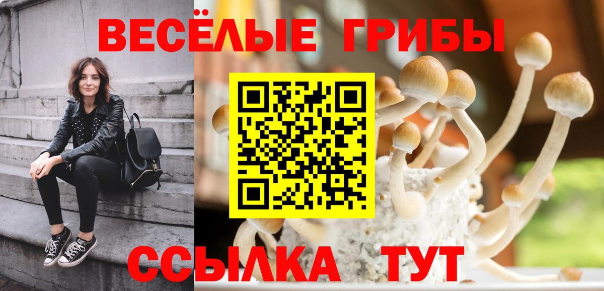 Псилоцибиновые грибы Magic Shrooms  Галлюциногенные грибы ЛСД  Вход с VPN  Брянск 
